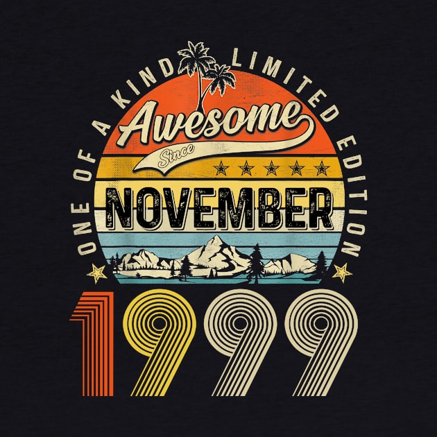 Awesome Since November 1999 Vintage 24th Birthday by Benko Clarence